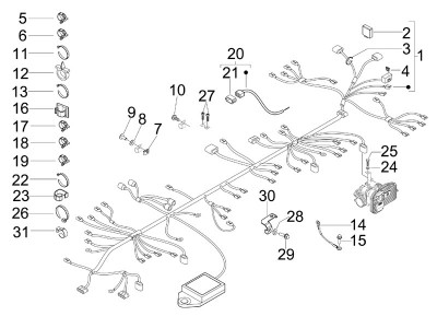 Συγκρότημα πλεξούδας καλωδίων